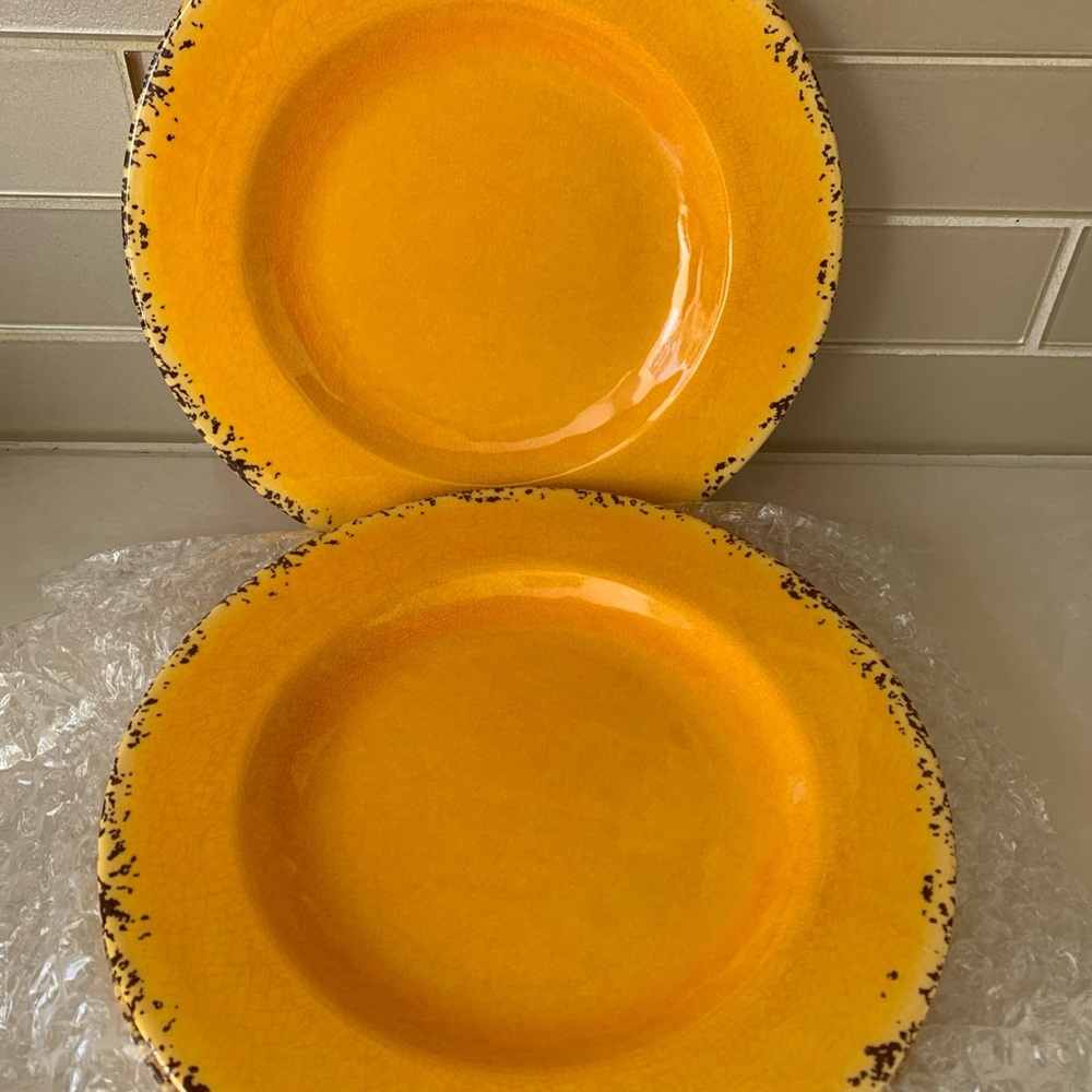 Ashland Summer Fiesta Plates Yellow 2 NEW Luncheon Snack Unbreakable Picnic 8.5”